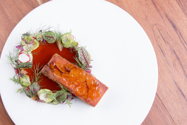 Alcalde-LATAM-2018-DISH1